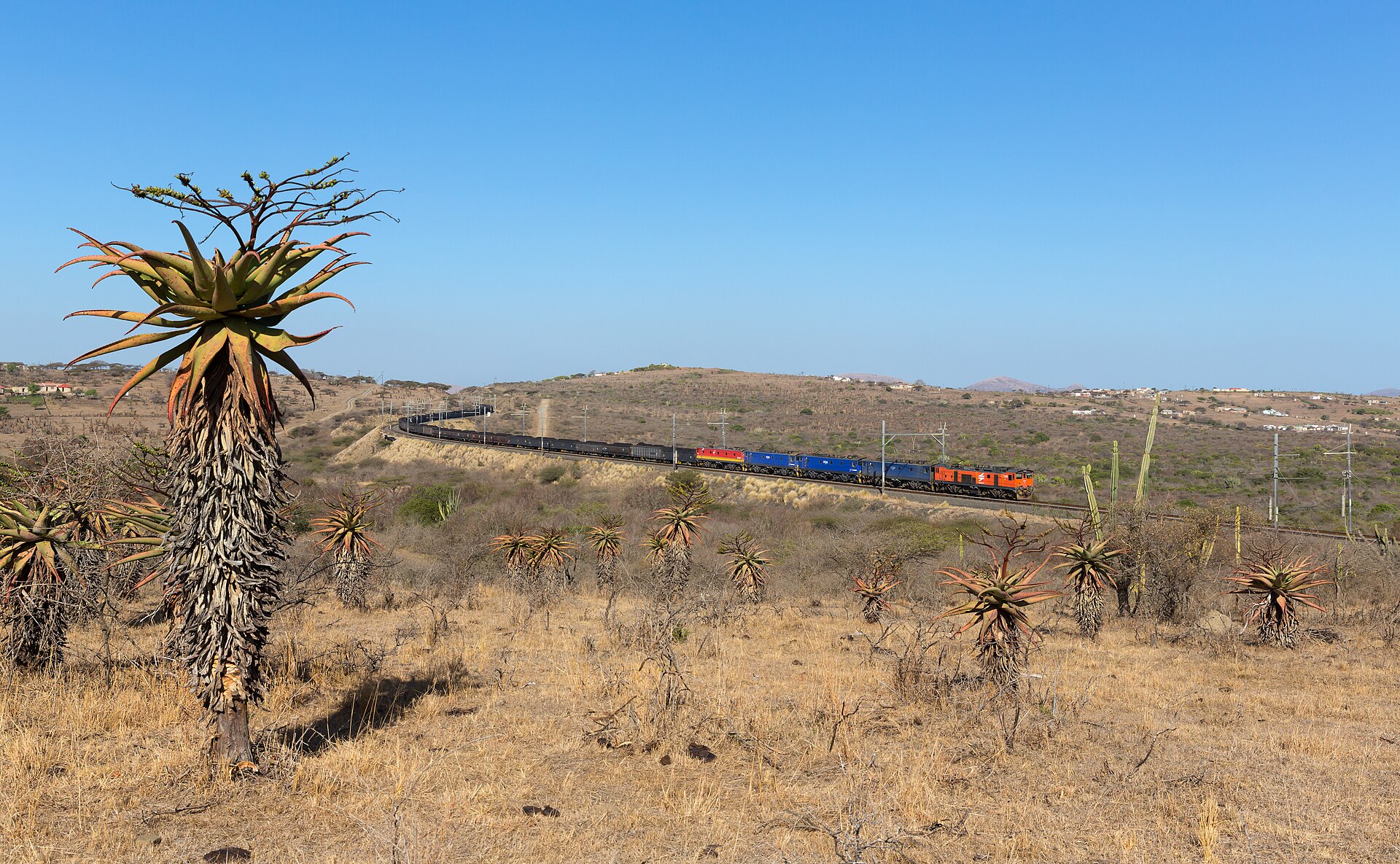 Transnet Freight Rail coal train, KwaZulu-Natal · Photo by David Gubler (Kabelleger), CC BY-SA 3.0, via Wikimedia Commons Transnet Freight Rail locomotives hauling a coal train through KwaZulu-Natal aloes